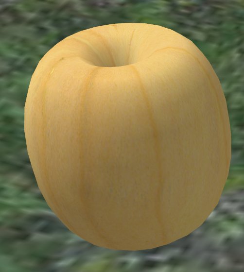 Fichier:Prim-Torus.jpg
