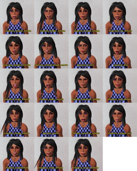 Fichier:SL face expressions.jpg